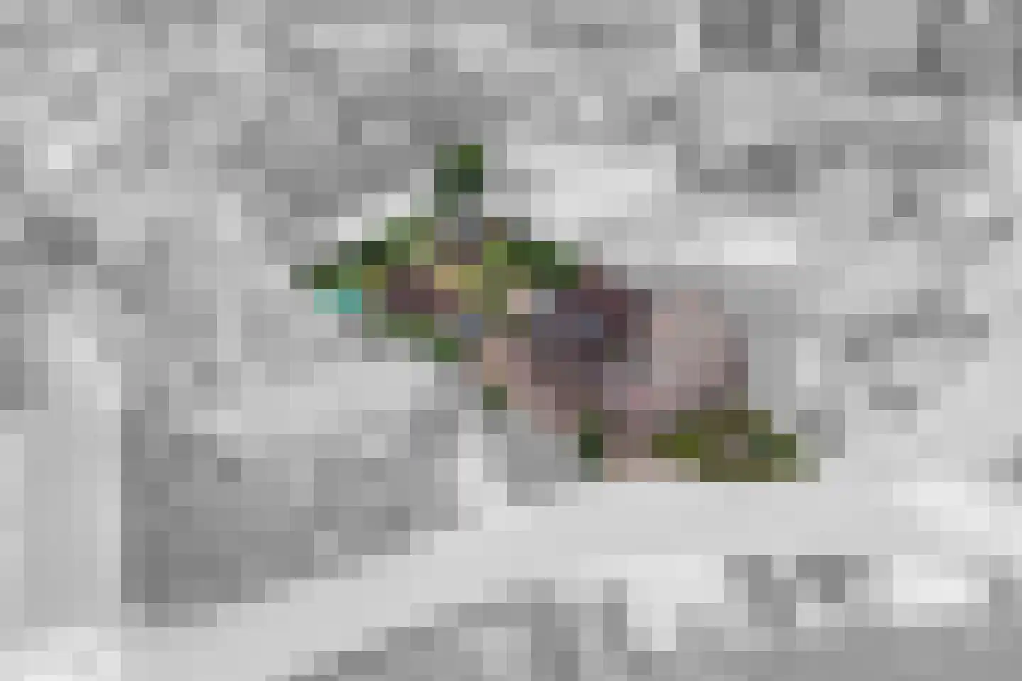 Kerkstraat 13 in Kesteren