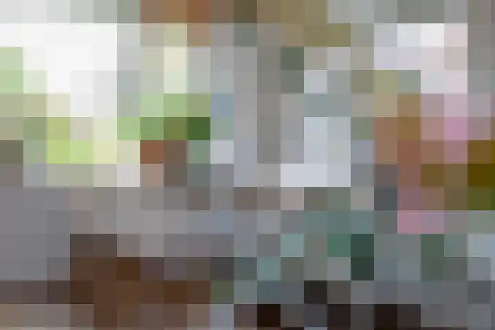 Kerkstraat 13 Andel thumbnail 11