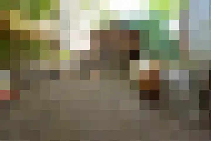 Kerkstraat 13 Andel thumbnail 34
