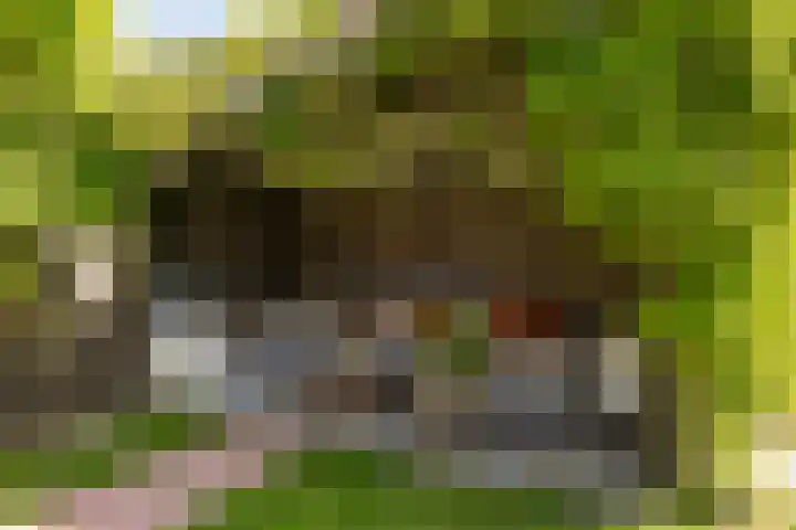 Kerkstraat 13 Andel thumbnail 35