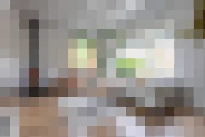 Kerkstraat 13 Andel thumbnail 45