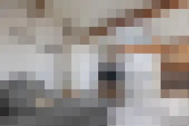 Kerkstraat 13 Kats thumbnail 21