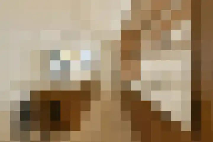 Kerkstraat 131 O Amsterdam thumbnail 6