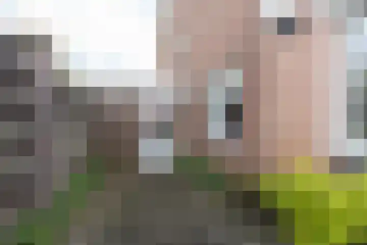 Kerkstraat 138 Weert thumbnail 38