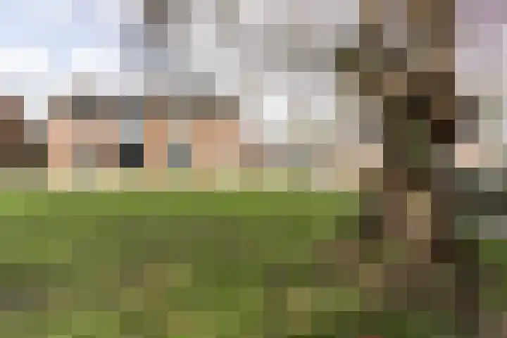Kerkstraat 138 Weert thumbnail 5
