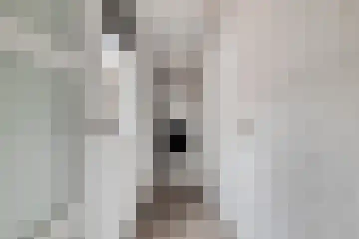 Kerkstraat 16 Bruinisse thumbnail 22