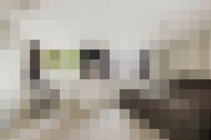 Kerkstraat 17 Voorst thumbnail 20
