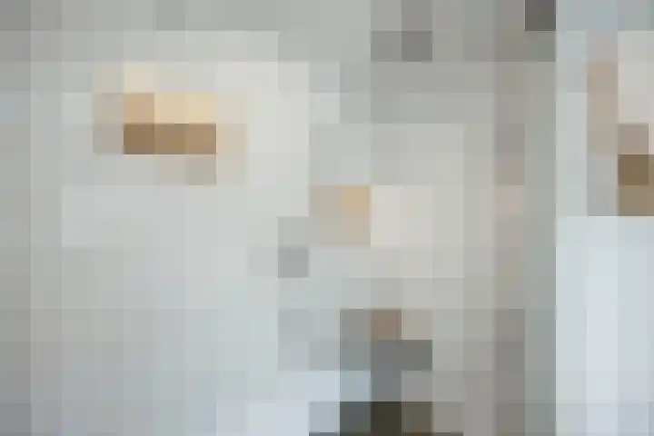 Kerkstraat 17 Voorst thumbnail 26