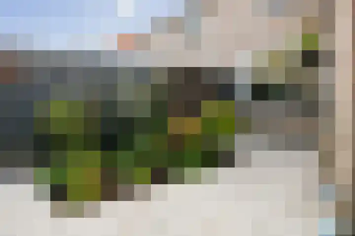 Kerkstraat 17 Voorst thumbnail 31