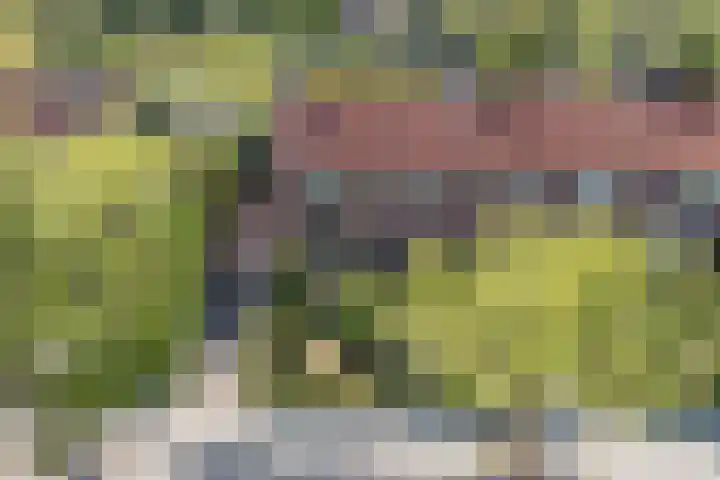 Kerkstraat 18 De Meern thumbnail 44