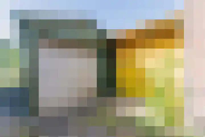 Kerkstraat 18 De Meern thumbnail 54