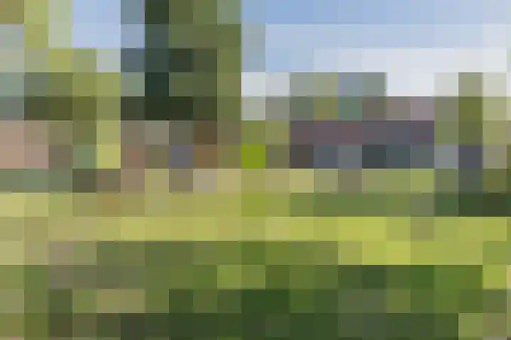 Kerkstraat 18 De Meern thumbnail 58