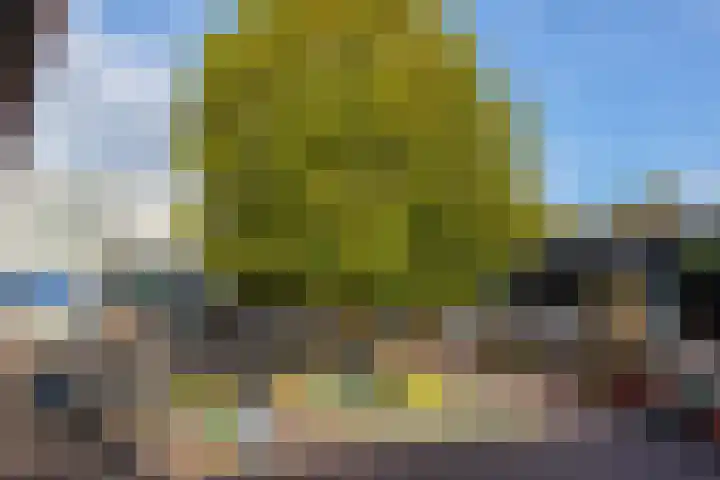 Kerkstraat 18 De Meern thumbnail 61