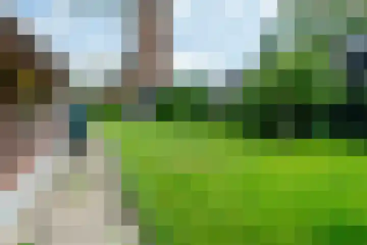 Kerkstraat 18 Eemnes thumbnail 47