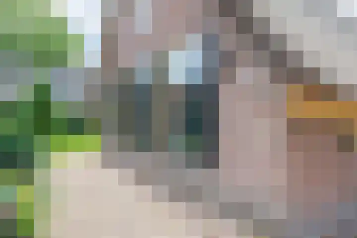 Kerkstraat 18 Eemnes thumbnail 50