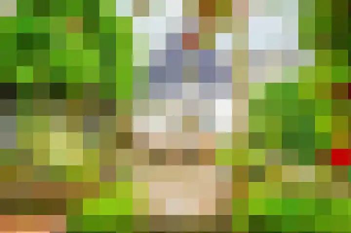 Kerkstraat 2 A Eemnes thumbnail 28