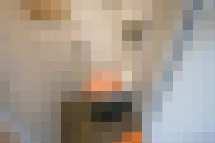 Kerkstraat 2 Kerkdriel thumbnail 12