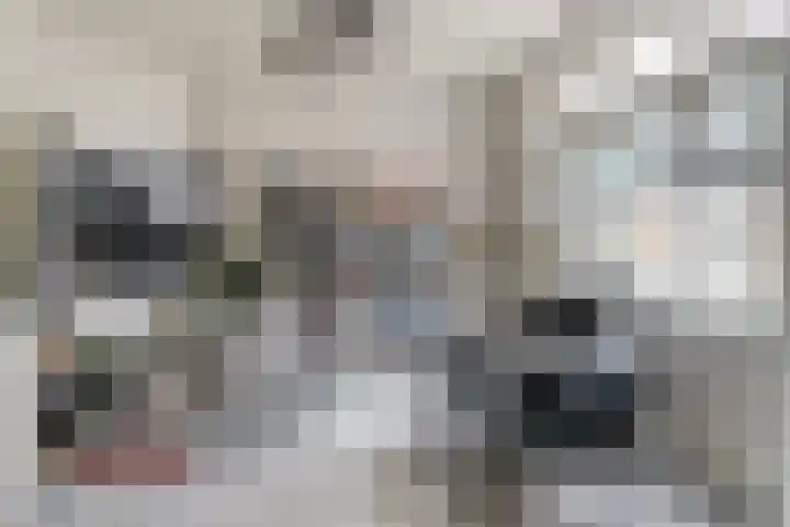 Kerkstraat 2 Kerkdriel thumbnail 14