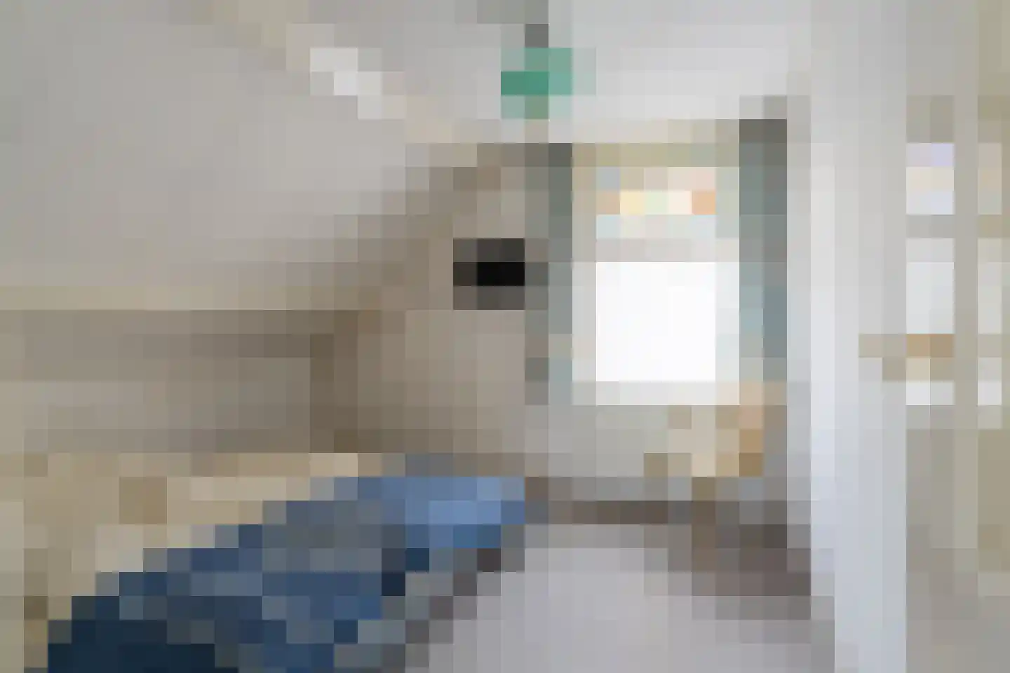 Kerkstraat 20 Sprang-Capelle thumbnail 24