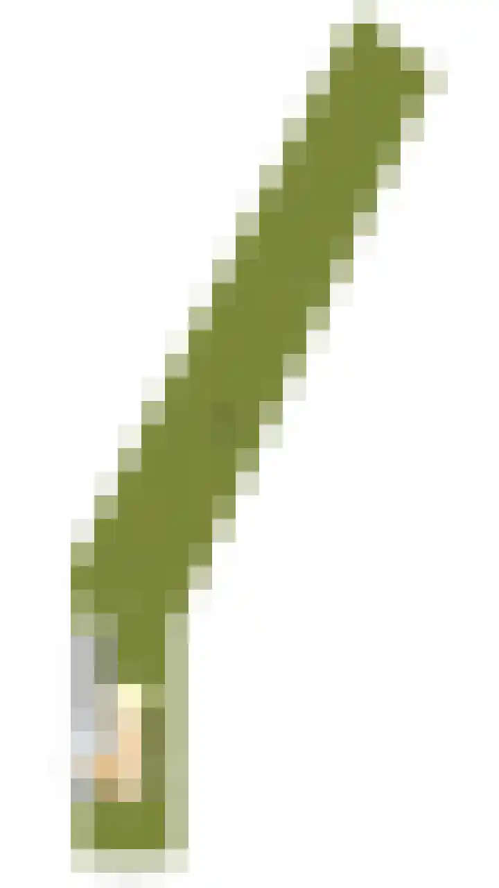 Kerkstraat 22 Mook thumbnail 26
