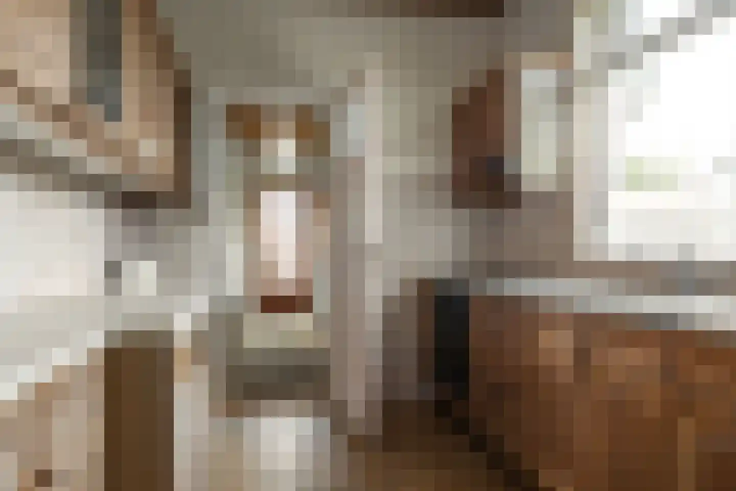 Kerkstraat 24 Joure thumbnail 9