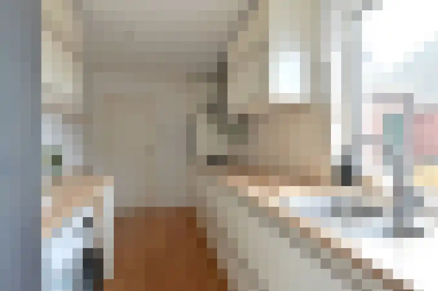 Kerkstraat 25 Huizen thumbnail 12