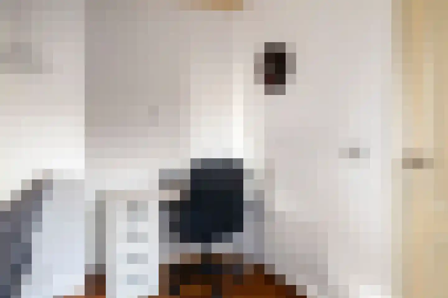 Kerkstraat 26 Eersel thumbnail 11