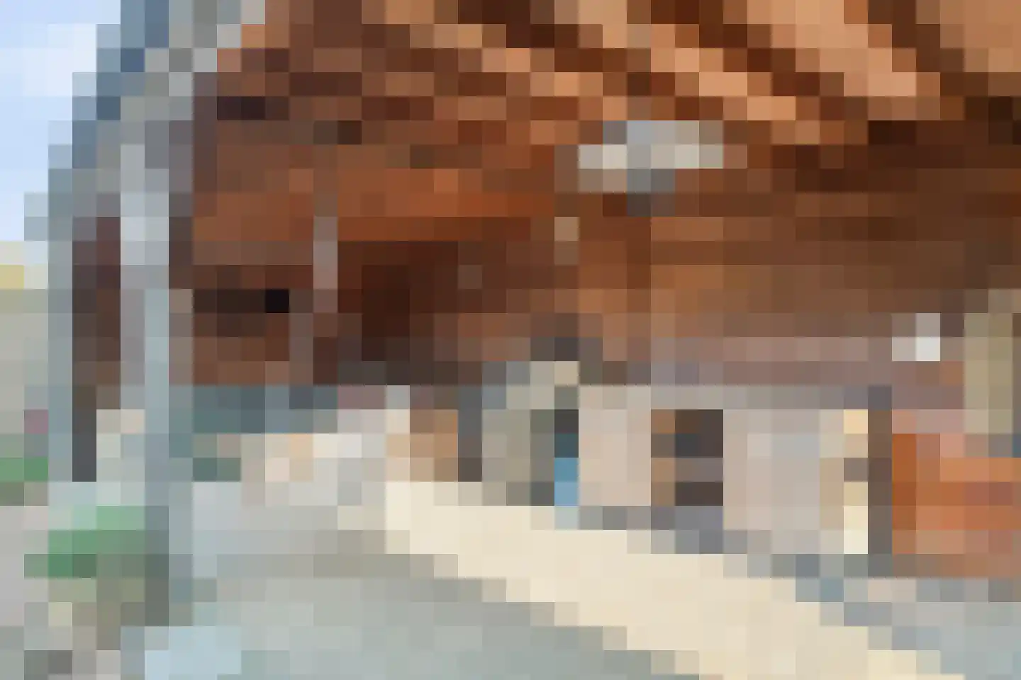 Kerkstraat 26 Eersel thumbnail 39