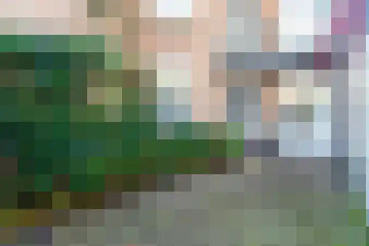 Kerkstraat 27 Bruinisse thumbnail 19