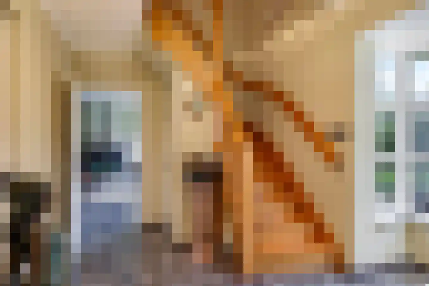 Kerkstraat 28 Andelst thumbnail 13