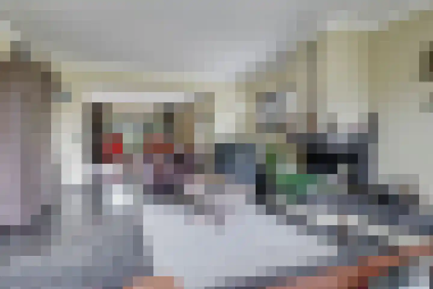 Kerkstraat 28 Andelst thumbnail 17