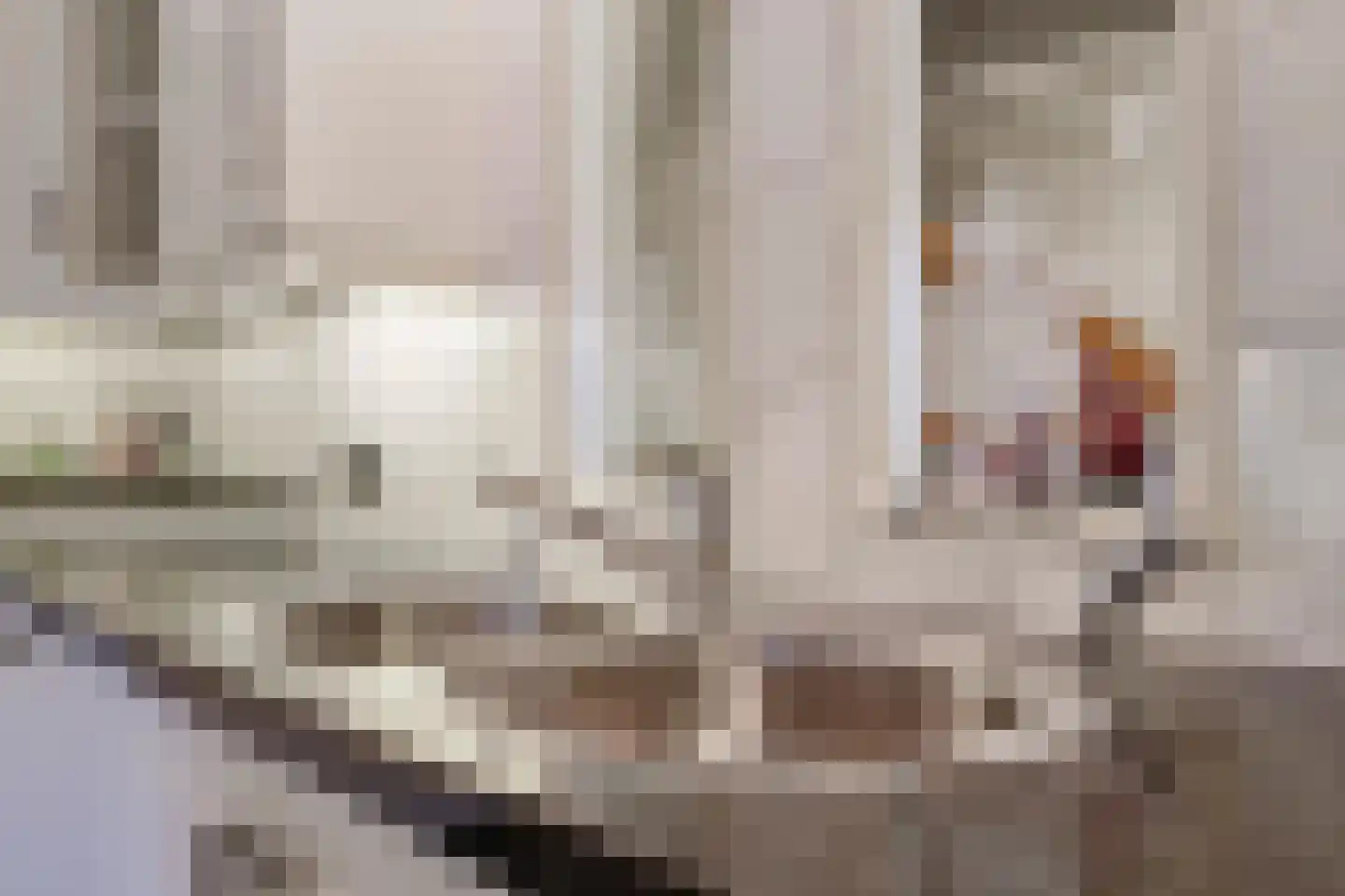 Kerkstraat 28 Andelst thumbnail 24