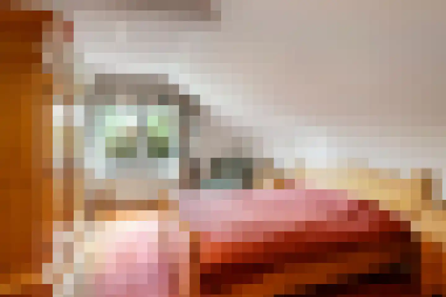 Kerkstraat 28 Andelst thumbnail 35