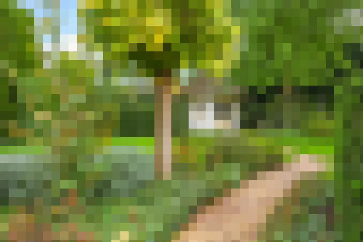 Kerkstraat 28 Andelst thumbnail 4