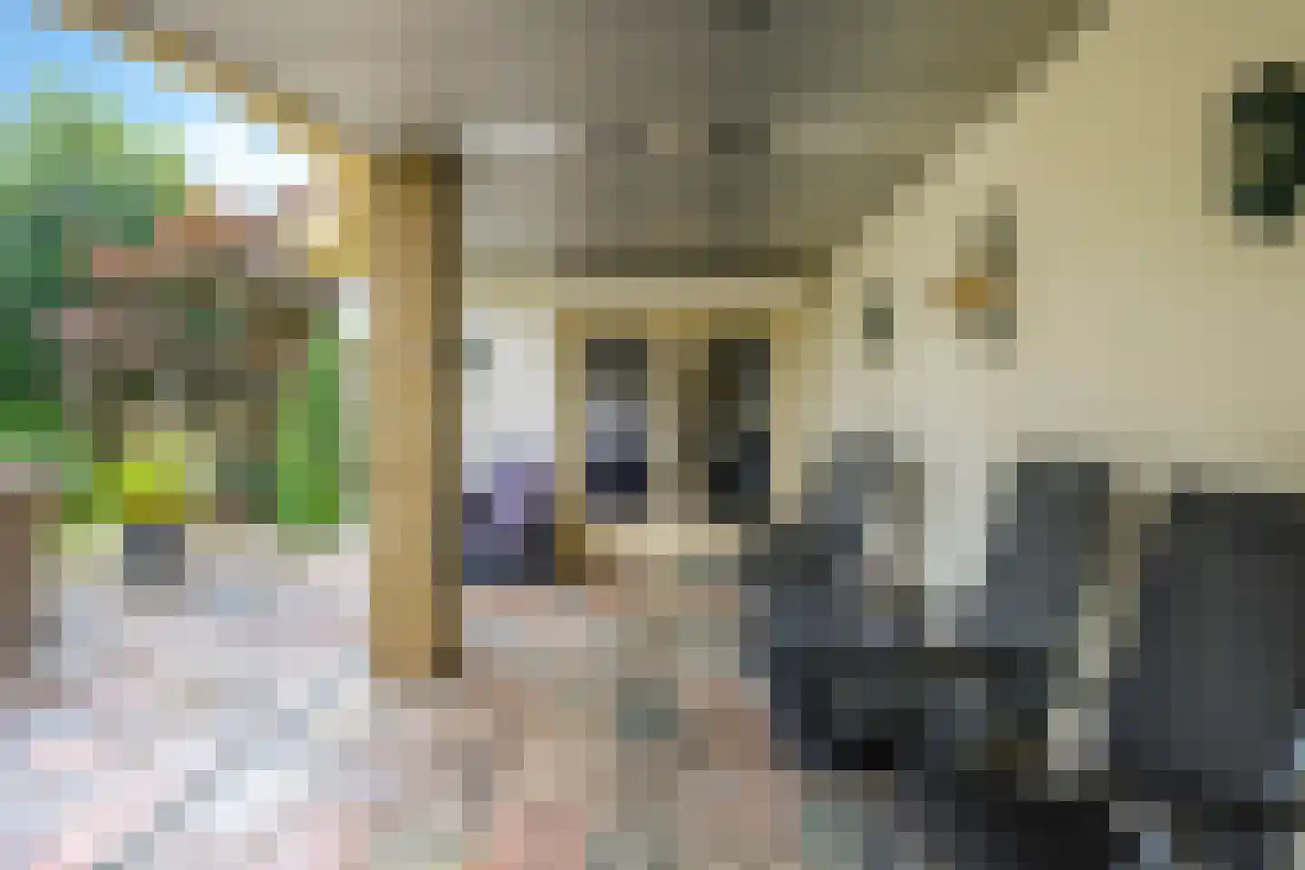 Kerkstraat 28 Andelst thumbnail 50