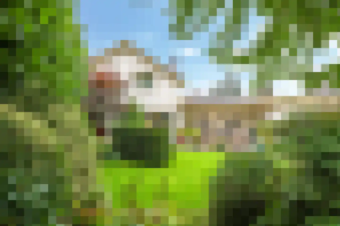 Kerkstraat 28 Andelst thumbnail 54