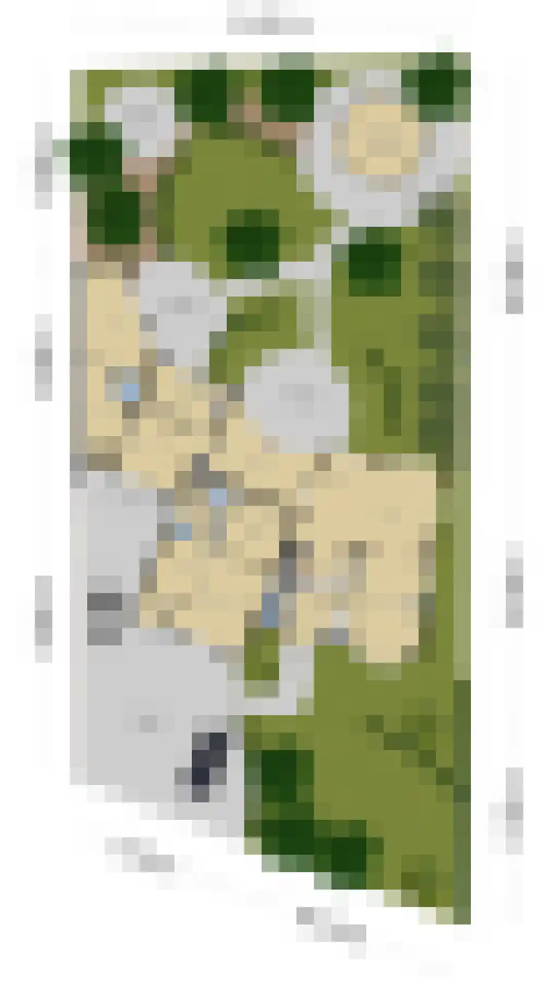 Kerkstraat 28 Andelst thumbnail 6