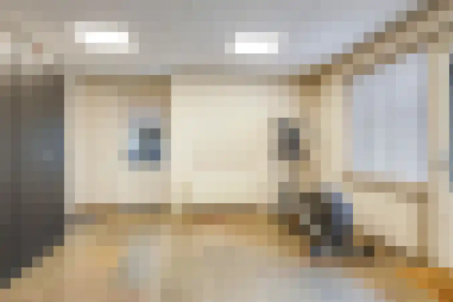 Kerkstraat 28 Andelst thumbnail 75