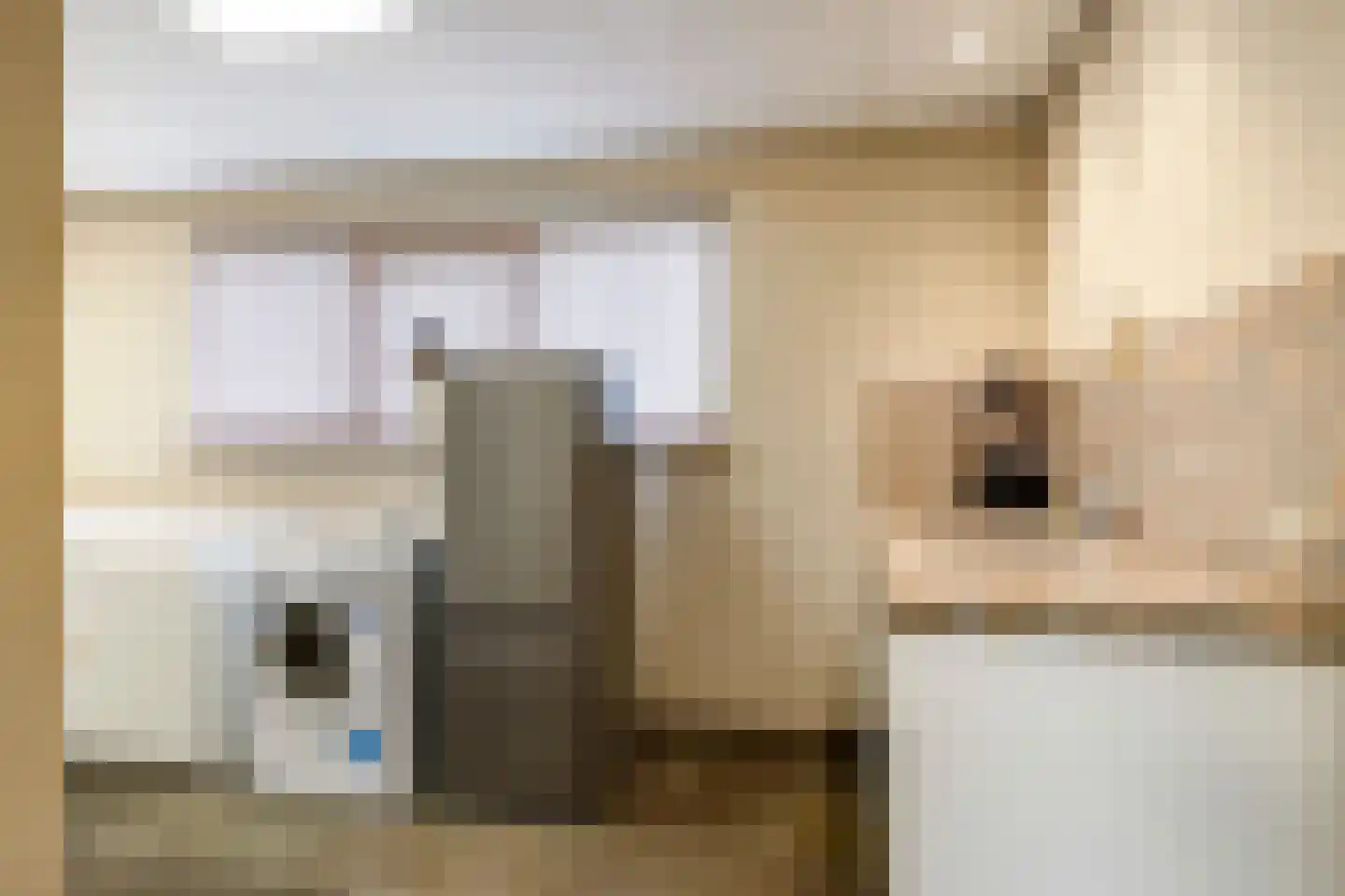 Kerkstraat 28 Andelst thumbnail 79