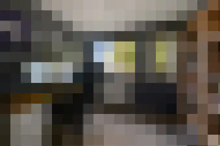 Kerkstraat 31 Beverwijk thumbnail 19