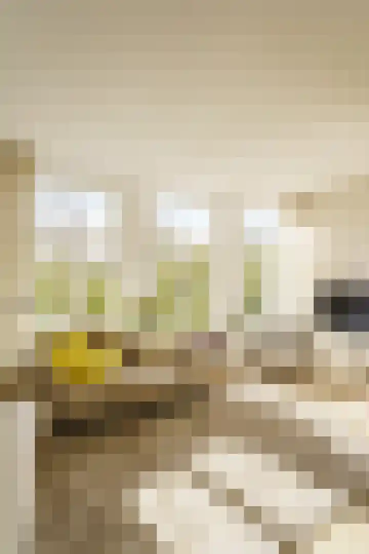 Kerkstraat 357 3 Amsterdam thumbnail 9