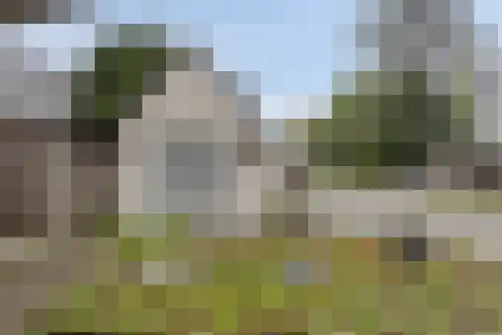 Kerkstraat 36 Goor thumbnail 26