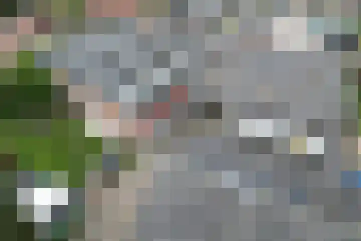 Kerkstraat 37 Harreveld thumbnail 35