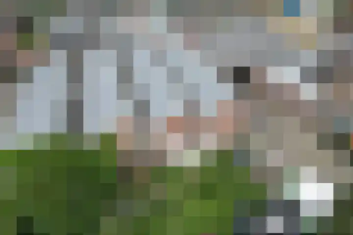 Kerkstraat 37 Harreveld thumbnail 36