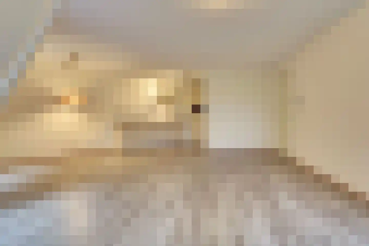 Kerkstraat 39 Diessen thumbnail 16