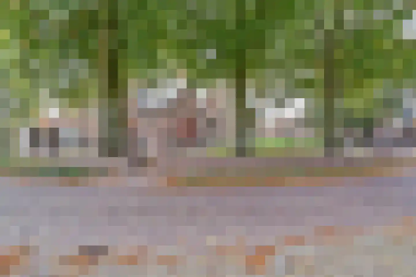 Kerkstraat 39 Diessen thumbnail 8