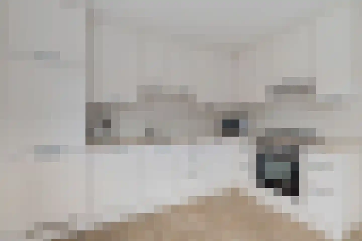 Kerkstraat 4 Berghem thumbnail 13