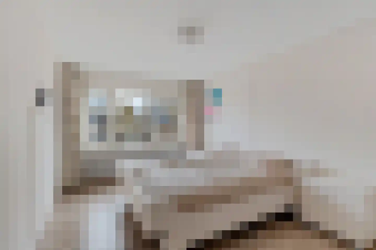 Kerkstraat 4 Berghem thumbnail 18