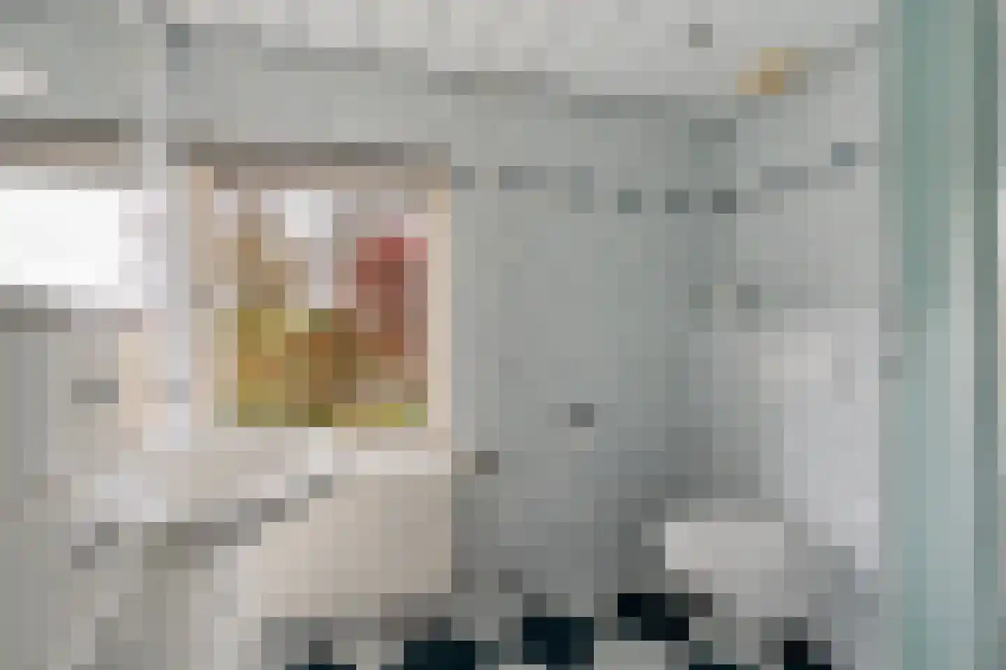 Kerkstraat 4 Berghem thumbnail 24