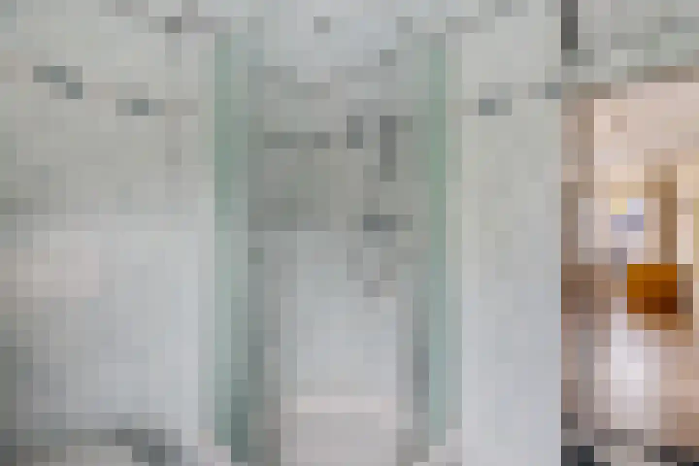 Kerkstraat 4 Berghem thumbnail 25